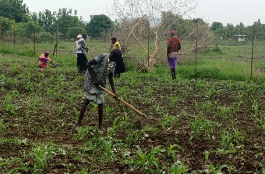 Fortalecimiento de la resiliencia de la población más vulnerable a los conflictos y crisis crónicas en Gumbo, Sudán del Sur, con énfasis en las mujeres y niñas desplazadas internas