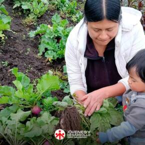 py_aviles-agricultura py_aviles-agricultura